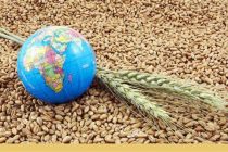 Прогноз ФАО ООН: меньше продовольствия за большие деньги