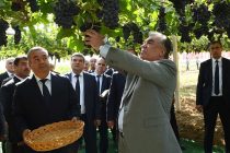 Глава государства Эмомали Рахмон в районе Дусти посетил дехканское хозяйство имени Мухаммада Осими и дал старт сбору скороспелого винограда