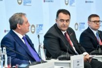 Министр энергетики и водных ресурсов Таджикистана принял участие в панели «Электроэнергетика в период перемен»