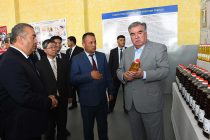 Президент страны Эмомали Рахмон в районе Дусти открыл ООО «Ганджи деха»