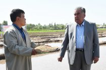 Лидер нации Эмомали Рахмон в районе Дусти ознакомился с ходом повторного сева риса в дехканском хозяйстве «Ашурбек-2012»