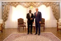 Таджикистан и Союз Коморских Островов обсудили налаживание взаимовыгодного сотрудничества