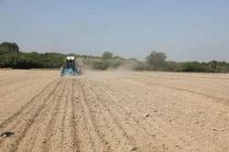 В этом году в Согдийской области будет проведён повторный сев на площади более 30 тысяч гектаров