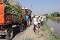 Жители Гиссара провели акцию «Чистота берега»