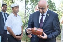 Махмадтоир Зокирзода посетил дехканские хозяйства Пянджского района