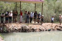 Представители дипломатического корпуса и международных организаций в Таджикистане посетили биосферный резерват «Ромит»