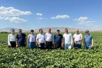 Представители текстильного сектора Узбекистана посетили  Таджикистан