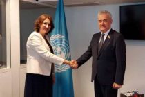 ЮНЕСКО готова содействовать развитию сферы образования в Таджикистане