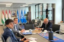 В штаб-квартире ООН Таджикистан и Нидерланды инициировали виртуальную встречу по Шестой цели устойчивого развития