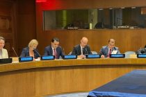 В штаб-квартире ООН презентовали итоги Второй Душанбинской водной конференции