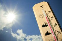 ВЫШЕ СОРОК ГРАДУСОВ ЦЕЛЬСИЯ.  В  Европе из-за экстремальной жары за неделю умерли более 1000 человек
