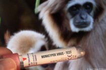 В 33 странах Европы выявили 5 949 случаев оспы обезьян