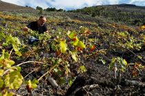 Испании и Португалии грозит смертоносная засуха