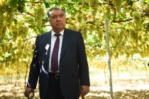 Лидер нации Эмомали Рахмон в Бободжон Гафуровском районе посетил виноградник дехканского хозяйства «Дусти»