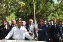 Глава государства Эмомали Рахмон в Бободжон Гафуровском районе посетил яблоневый и миндальный сад Государственного учреждения «Боги миллии вахдат»