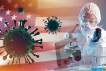 Ежедневно в США от коронавируса умирает до 400 человек