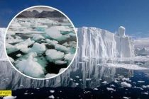 ОБ ЭТОМ ПРЕДУПРЕЖДАЛ ПРЕЗИДЕНТ ТАДЖИКИСТАНА. Ледники Антарктиды станут таять быстрее из-за потепления воды на 2-3 градуса
