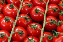 НА ВЕС ЗОЛОТА. Аномальная жара удвоила цены на помидоры в Таджикистане