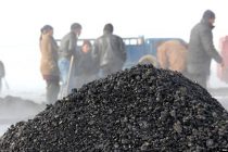 В Согдийской области  открыли пункты по продаже угля