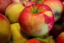 Рекордный урожай яблока в Узбекистане и Таджикистане под угрозой уничтожения из-за климатических изменений