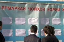 Завтра в пяти уголках Таджикистана состоятся ярмарки вакансий и свободных рабочих мест