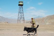 Пресс-центр Пограничных войск ГКНБ Республики Таджикистан сообщает