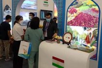 Сельскохозяйственная продукция Таджикистана представлена на 29-й выставке Янлин в Китае