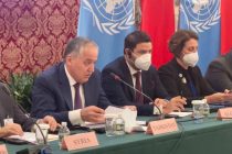 Таджикистан затронул актуальные вопросы, касающиеся новых вызовов, на встрече Группы друзей по Глобальной инициативе развития