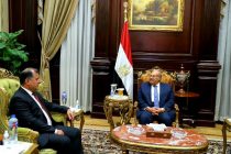 Посол Таджикистана провел встречу с Председателем Сената Египта