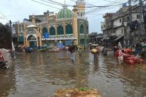 ООН: Из-за наводнений в Пакистане пострадали примерно 33 миллиона человек