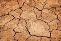 ООН заявила о риске гуманитарного кризиса для 4-х млн жителей Эфиопии из-за засухи