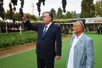 Глава государства Эмомали Рахмон в городе Турсунзаде посетил дехканское хозяйство «Ватан»