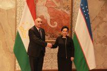 Махмадтоир Зокирзода и Танзила Нарбаева обсудили двустороннее сотрудничество