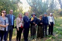 Представители Всемирного банка дали высокую оценку работе садоводов дехканского хозяйства «Хайриддин» Файзабадского района