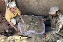 ИЗ ГЛУБИНЫ ВЕКОВ… Археологи обнаружили в посёлке Санджаршох свыше 14 фрагментов фресок
