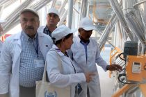 Таджикские и узбекские производители муки обменялись опытом по ее обогащению