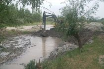 КЧС и ГО: селевые паводки в ряде районов Таджикистана затопили приусадебные участки домов и повредили дороги