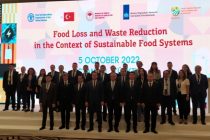 Министр сельского хозяйства Таджикистана в Стамбуле принял участие в обсуждении внедрения инноваций