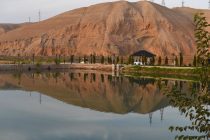 Агентство по статистике: в Таджикистане почти в 2 раза увеличился объем производства рыбы