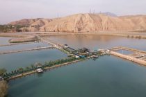 Министерство сельского хозяйства: «Предоставленные льготы способствовали развитию сферы рыбоводства в Таджикистане»
