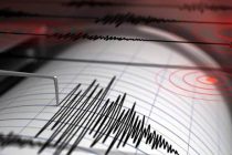 Число пострадавших в результате землетрясении в Иране превысило 500