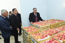 Президент страны Эмомали Рахмон в Национальном парке «Вахдат» сдал в эксплуатацию новое холодильное помещение