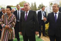 Глава государства Эмомали Рахмон в Шахритусском районе посетил Дехканское хозяйство «Ситора» и выставку сельхозпродукции