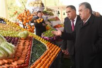 Лидер нации Эмомали Рахмон в Бободжон Гафуровском районе Согдийской области посетил выставку сельскохозяйственной продукции