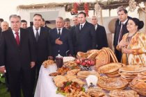 Глава государства Эмомали Рахмон в районе Деваштич посетил выставку различных сортов картофеля и других видов сельскохозяйственной продукции