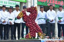 Впервые в Таджикистане был проведён Фестиваль выставки-продажи картофеля и приготовления из него блюд