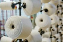 Таджикистан увеличил экспорт хлопка-волокна почти на 50%