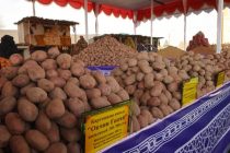 ФЕСТИВАЛЬ КАРТОФЕЛЯ. В этом году в Таджикистане произведено более 770 тысяч тонн картофеля
