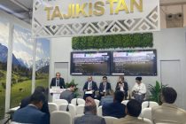 В Павильоне Таджикистана в Египте обсуждены вопросы, связанные с изменением климата