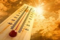 Бельгийские специалисты считают, что аномально теплая осень — признак глобального потепления